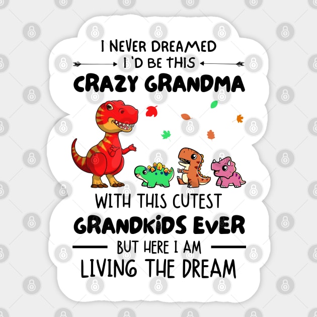 I Never Dreamed I'd Be This Crazy Grandma With The Cutest Grandkids Ever Sticker by JustBeSatisfied